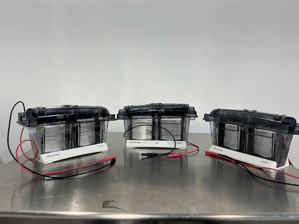 Image of Invitrogen Mini Gel Tank x3